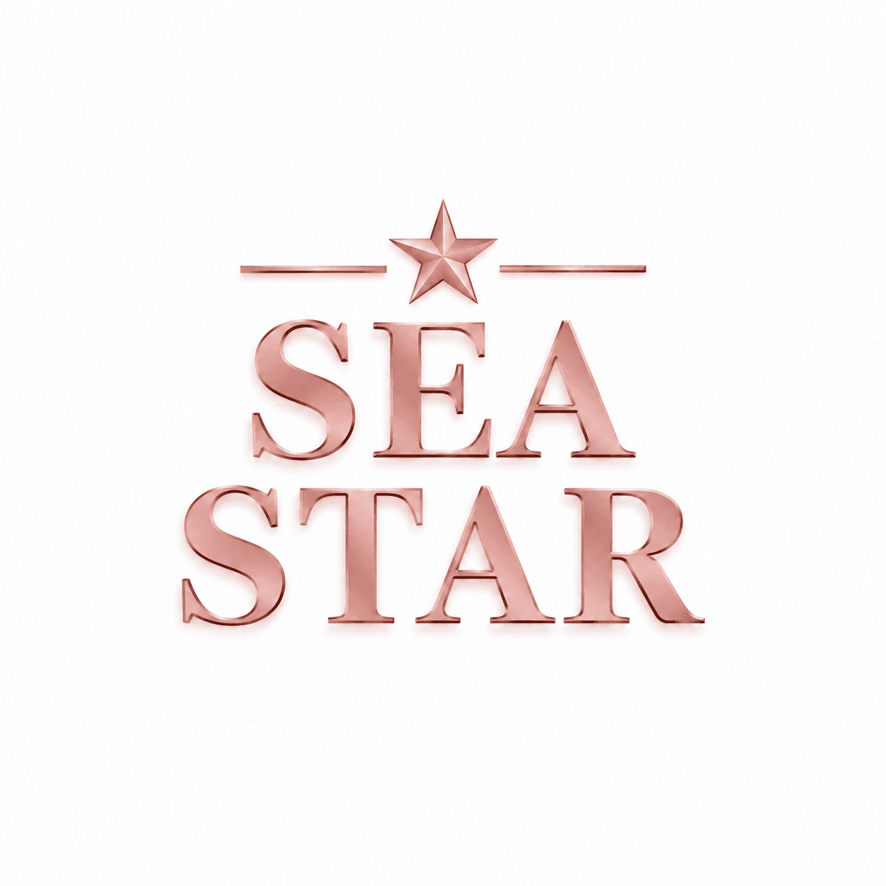 Hotel Sea Star Inn